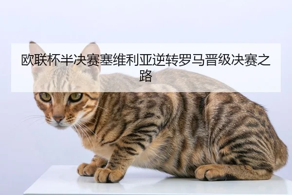 ou-lian-bei-ban-jue-sai-sai-wei-li-ya-ni-zhuan-luo-ma-jin-ji-jue-sai-zhi-lu-2-411.jpg