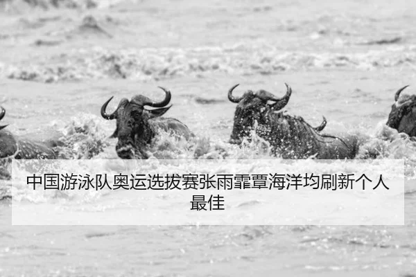 中国游泳队奥运选拔赛张雨霏覃海洋均刷新个人最佳