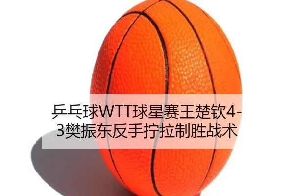 ping-pang-qiu-qiu-xing-sai-wang-chu-qin-fan-zhen-dong-fan-shou-ning-la-zhi-sheng-zhan-shu-3-141.jpg